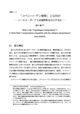 本文 (FullText)