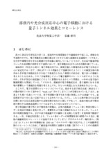 本文 (FullText)