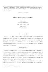 本文 (FullText)