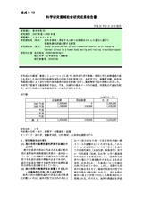 本文 (FullText)