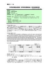 本文 (FullText)