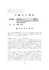 本文 (FullText)