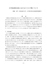 本文 (FullText)