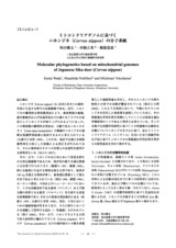 本文 (FullText)