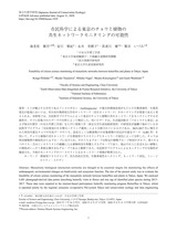 本文 (FullText)