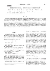 本文 (FullText)