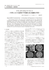 本文 (FullText)
