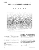 本文 (FullText)