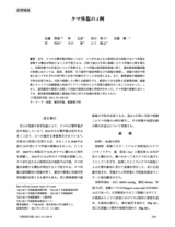 本文 (FullText)
