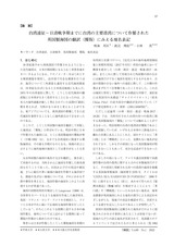 本文 (FullText)