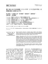 本文 (FullText)