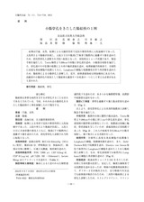 本文 (FullText)