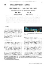 本文 (FullText)