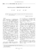 本文 (FullText)