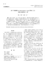 本文 (FullText)