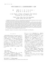 本文 (FullText)
