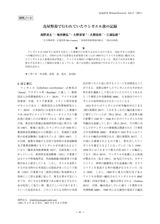本文 (FullText)